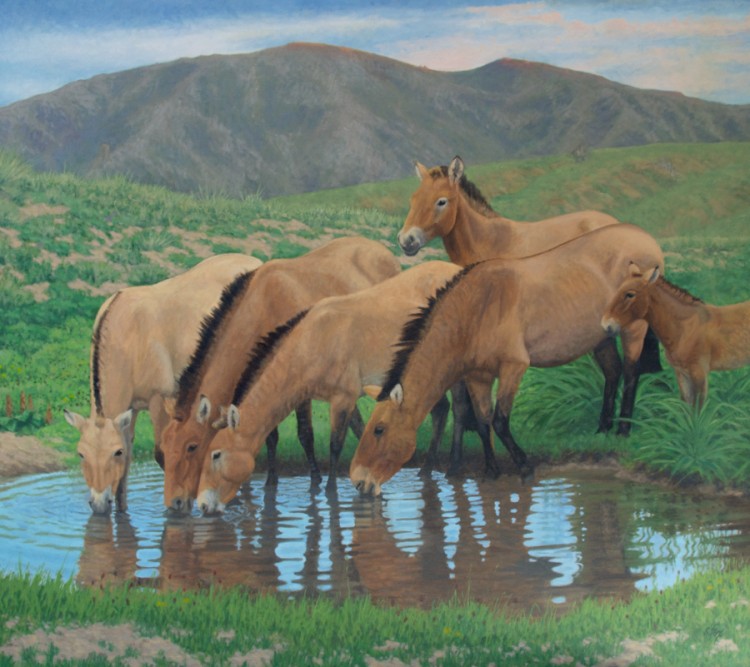 Artist Susan Fox Paints Genghis Khan's Mongolia 2 Artist Susan Fox Paints Genghis Khan’s Mongolia