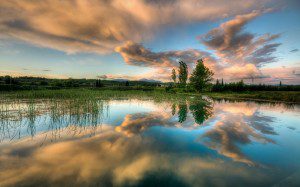 ‘Straining to Photograph a Distant Lake and Trees From a Moving Train’ by Damian Robin