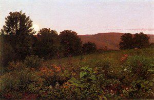 'The Meadow' by Doug Thornton 2 ‘The Meadow’ by Doug Thornton