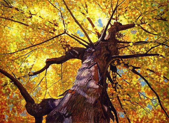 ‘Juxtaposition’ by Reid McGrath