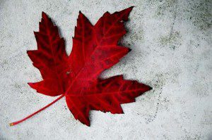 ‘A Nation Mourns: October 22, 2014’ by Wes Caribu Deal