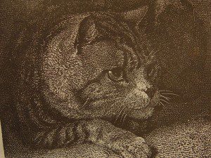 ‘BILLY Cat and MAX Dog’ by Don Shook
