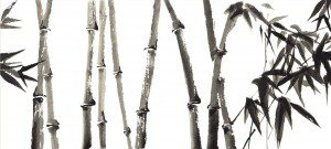 ‘Step by Step’ by Yungchen Xiaolian