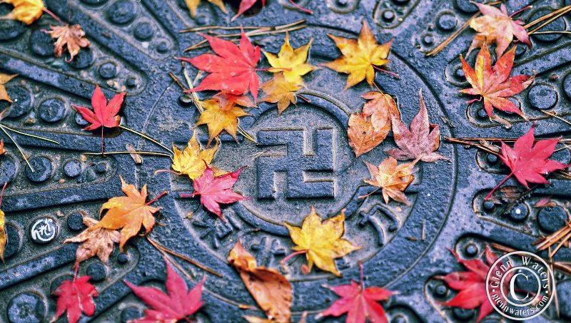 ‘Dharmachakra’ and Other Poetry by Bruce Dale Wise