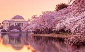 ‘April in Washington’ and Other Poetry by David Martin