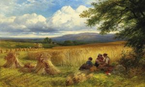 ‘Greening Fields’ by Carole Mertz