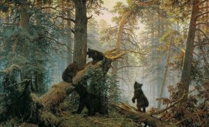 ‘A Bear in My Living Room’ and Other Poetry by Michael Harmon