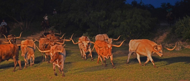 ‘Unexpiring’ and Other Poetry by Alec Ream