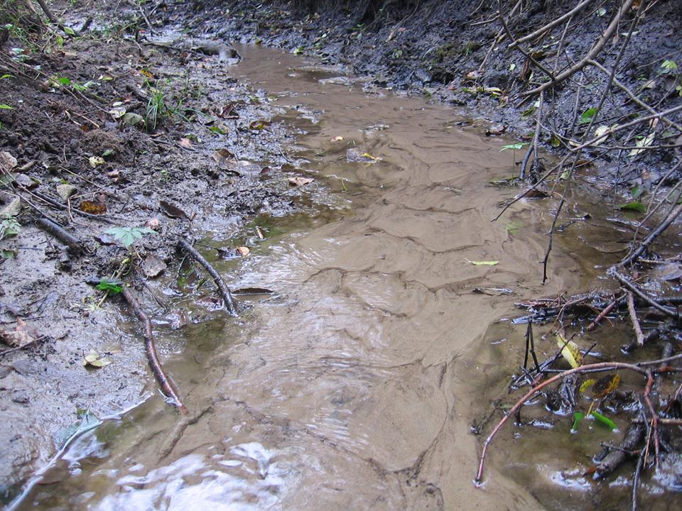 ‘Said the Painter’ and Other Poetry by Alec Ream