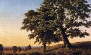 ‘Valley Oak’ by Ruth Hill