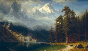 ‘The Rocky Mountain Pines’ and Other Poetry by Blake Elliott