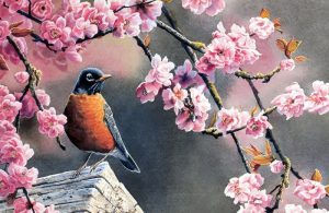 ‘Songbirds Sing’ and Other Poetry by Debbie Johnson