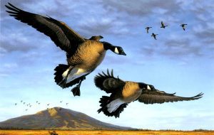 ‘Approaching Spring’ and Other Poetry by Alec Ream