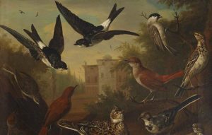 ‘Sonnet for an Arabian Autumn’  and Other Poetry by Diane Woodcock