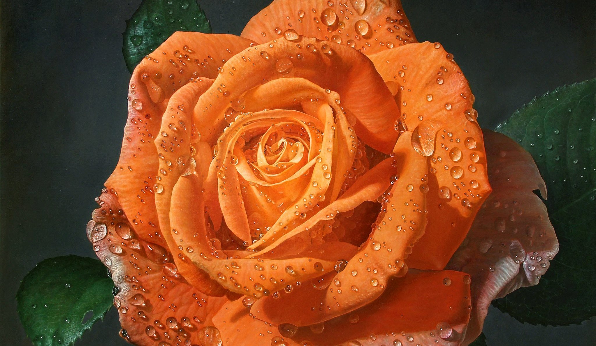 ‘The Flowers’ and Other Poetry by David Bellemare Gosselin