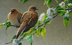 ‘Two Mourning Doves’ and Other Poetry by Joe Tessitore