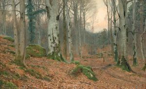 ‘The Birch Wood by The Crag’ by Alessio Zanelli