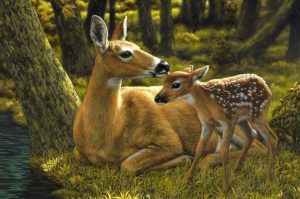 'Passing of the Seasons' and Other Poetry by Wandi Zhu 3 ‘Passing of the Seasons’ and Other Poetry by Wandi Zhu