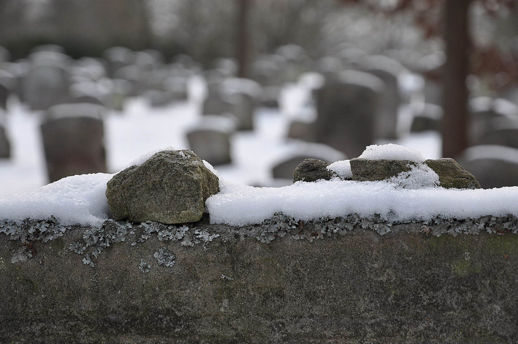 ‘In Fall I Set a Stone’ and Other Poetry by Gershon Ben-Avraham