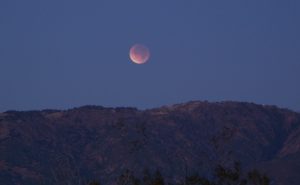'Thoughts on January 31, 2018’s Complete Lunar Eclipse' and Other Poetry by Amy Foreman 2 ‘Thoughts on January 31, 2018’s Complete Lunar Eclipse’ and Other Poetry by Amy Foreman