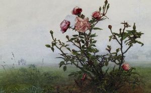 ‘Where Have the Roses Gone’ by Leonard Dabydeen