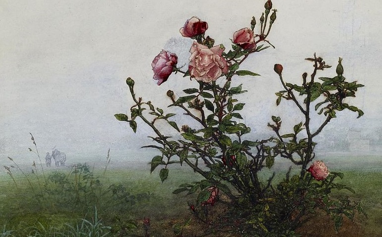‘Where Have the Roses Gone’ by Leonard Dabydeen