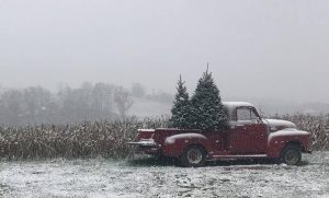 ‘Winter Wore a Raiment White’ and Other Poetry by Alec Ream