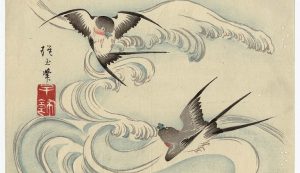 ‘Swallows’ by Leo Yankevich (with Video)