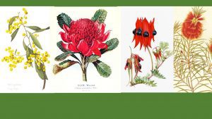 ‘Flower of Choice’ and Other Poetry by David Watt