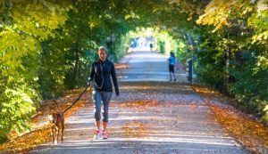 ‘Between the Trees, Along the Path – Monon Trail, Carmel IN’ by Rosaleen Crowley