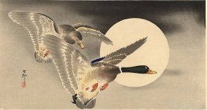 Translations of 'Quiet Night Pondering' by Li Bai and a Nostradamus Quatrain, Dedicated to Hong Kong Protesters, by Evan Mantyk 3 ‘Goose Sense’ and Other Poetry by Thomas Schmidt