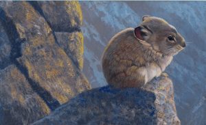 'Pika' by André Le Mont Wilson 2 ‘Pika’ by André Le Mont Wilson