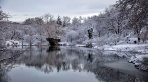 ‘A Snowy Day in Spring’ by Yuan Xi