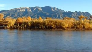 ‘SonnetVision 27’ (Video) by Joseph Charles MacKenzie