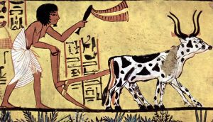 'God-Farm' by Sathya Narayana 2 ‘God-Farm’ by Sathya Narayana
