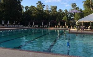 ‘The Country Club’ and Other Poetry by Alec Ream