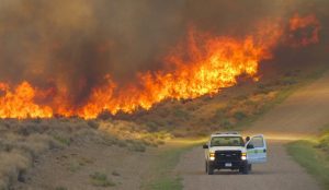 On the California Wildfires, by Tonya McQuade