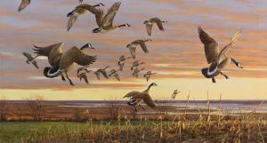 ‘Late Winter Sunset’ by M. P. Lauretta