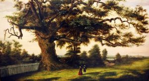 'Sadness Has Silent Feet' and Other Poetry by Fr. Bruce Wren 3 poem/mckee/beauty