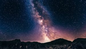 ‘Star Needles’ and Other Poetry by Sally Cook