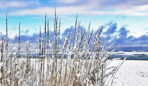 ‘Early Morning Winter Walk’ and Other Poetry by James A. Tweedie