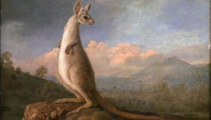 ‘The Dancing Kangaroo’ by Damian Balassone