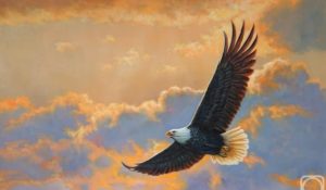 ‘Wings’ and Other Poetry by C. David Hay