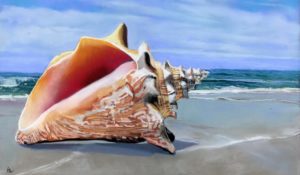 ‘The Conch Shell’ by Sally Sandler