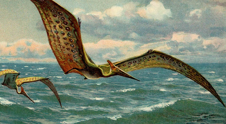 ‘Why Pterodactyls Make Great Pets’ by Mark F. Stone