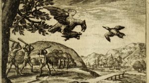 Five Translations of Aesop’s Fables (from Phaedrus, First Century AD Latin Poet)