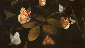 ‘Moth, Angel of the Night’ and Other Poetry by Michael Zhao