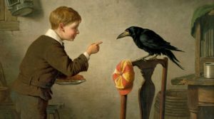 crow raven