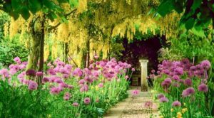 'Clean Beauty' by Kevin O'Keeffe 2 ‘Clean Beauty’ by Kevin O’Keeffe