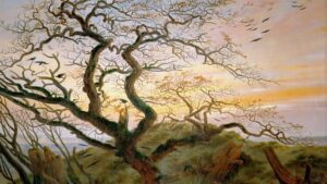 ‘Where Are the Leaves?’: A Late Autumn Rondeau by Jeff Kemper